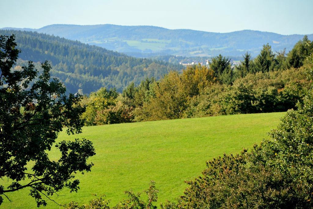 Apartman Na Bubnu Náchod Quarto foto